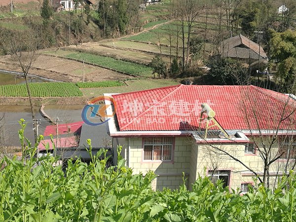 重慶姜先生家的合成樹脂瓦屋頂